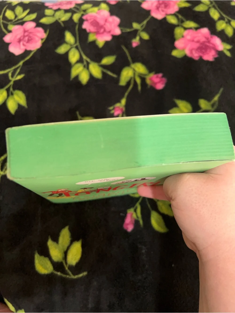 Fangirl by - Rainbow Rowell Mint Cover